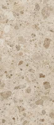 Stone Beige 120x278