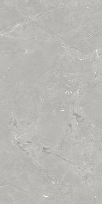 NEEKO GREY 60x120