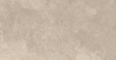 Greige Lucido 60x120