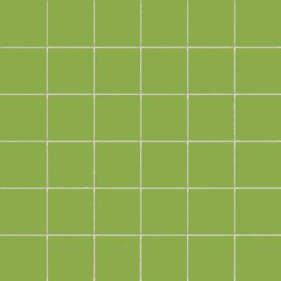 Kiwi Su Rete 10x10 30x30