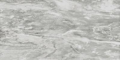 Supreme Silver Dream Anticato 60x120