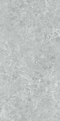 Charisma 3D Grey 60x120