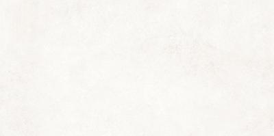 Moderno Stucco White Matt 60x120