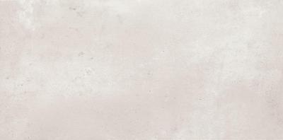 Grey 29.8x59.8