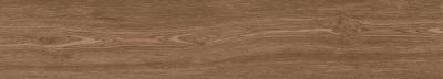 Wood Parma Nocciola Mate 20x120