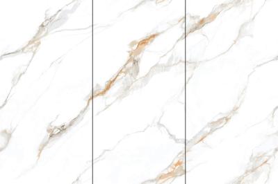 Calacatta Gold 120x240