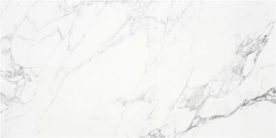 White Sat 59.5x120