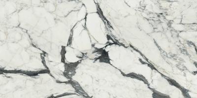 Calacatta Altissimo Glossy 40x80