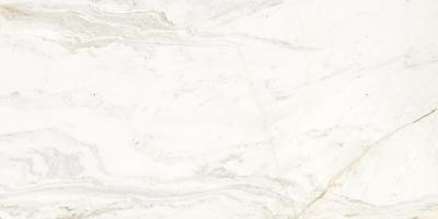 Marble Alaska Bianco 60x120