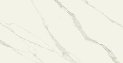 Calacatta Gold 80x160