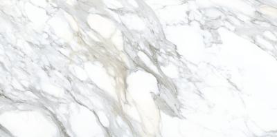 Apuan Gold Lucidato 80x160