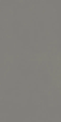 Слим Айрон 60х120