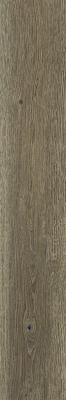 PTR.WOOD OAK NAT R20X120 PTR.WOOD OAK NAT R20X120