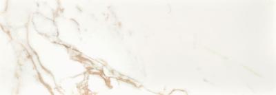 Calacatta Gold Matt Ret 35x100