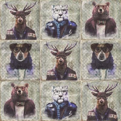 Decor Celebrity Mix 20x20