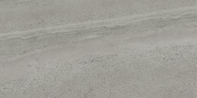 Limestone Silver 60x120