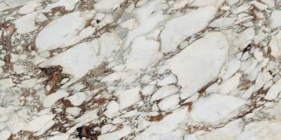 Breche Capraia Glossy 60x120