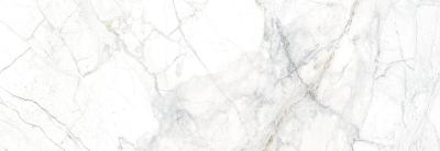 White Nt R