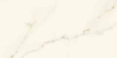 Calacatta Apuano Matt 30x60