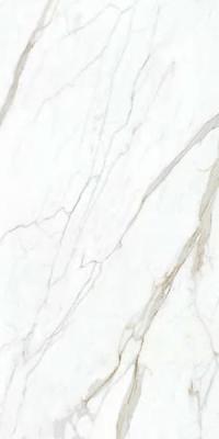 Calacatta Select SP 6 mm