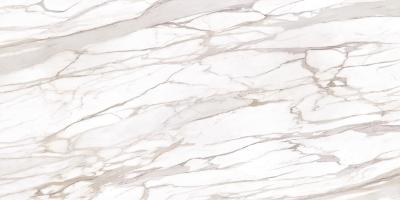 Book Match "B" Calacatta Gold Canova Full Lappato 120x240