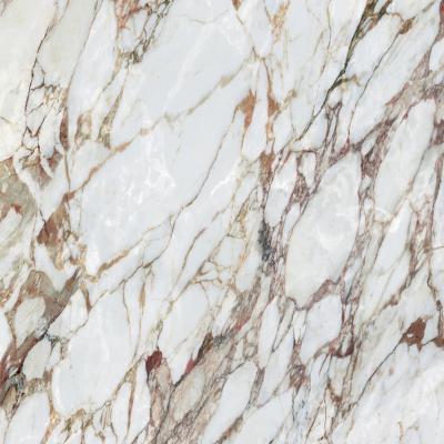 Arabescato Oro Luc Sq 120x120