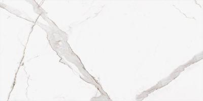 Calacatta Oro 60x120 5мм Matt