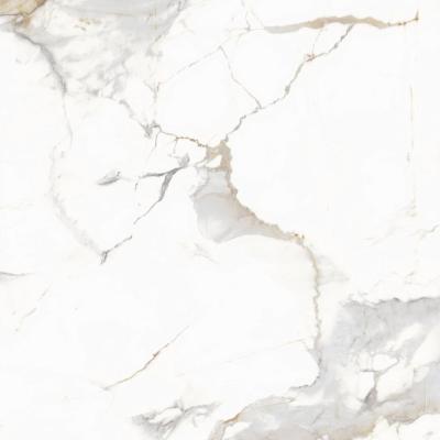 Calacatta Blonde Polished 60x60