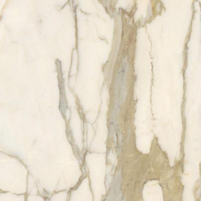 Calacatta Elite Honed