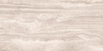 Evora Gris MT 59x120