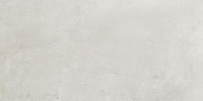 Grey 29.8x59.8