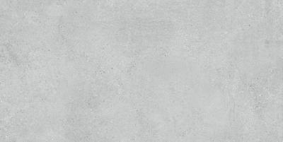 Studland Grey 60x120