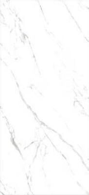 Bookmatch Statuario Grigio Lucido Spec