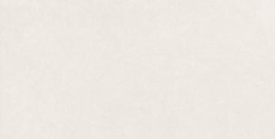Dust White 60x120