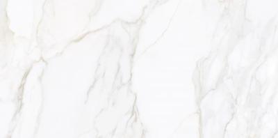 Livorno Gold Pul 60x120