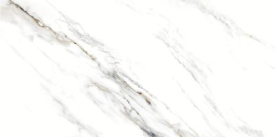 Marble Fantastic White 9 Mm Poli 60x120