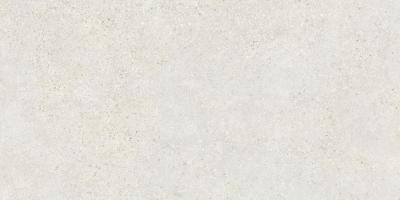 Mold Mist R 60x120