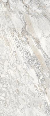 DOMINO ASH - A 2800х1200х6мм ELEGANCE (POLISHED)