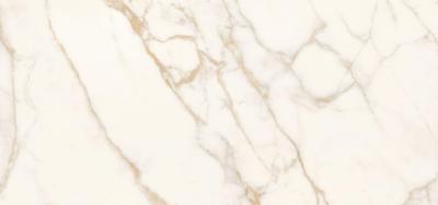 Calacatta Oro Chain A 120x260