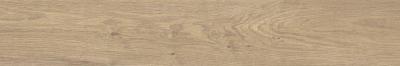 Hazelnut Sp Sq