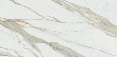 Calacatta Gold Luc Sq 80x160