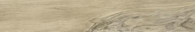 Beige 20x120