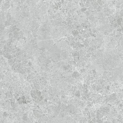 Charisma Grey Ret 100x100