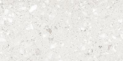 River Mosaic White Glossy 60x120