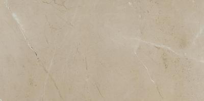 Prestigio Arcadia Matt R 60x120