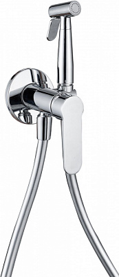 Смеситель с гигиеническим душем Aquanet Passion AF300-52С