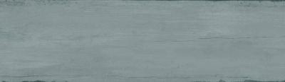 Ocean Rec 29x100
