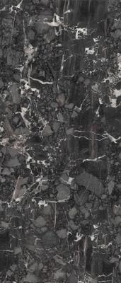 Nero Breccia Honed 120x278