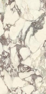 Calacatta Viola Luc 60x120