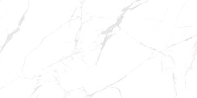 Callacata Carving 60x120